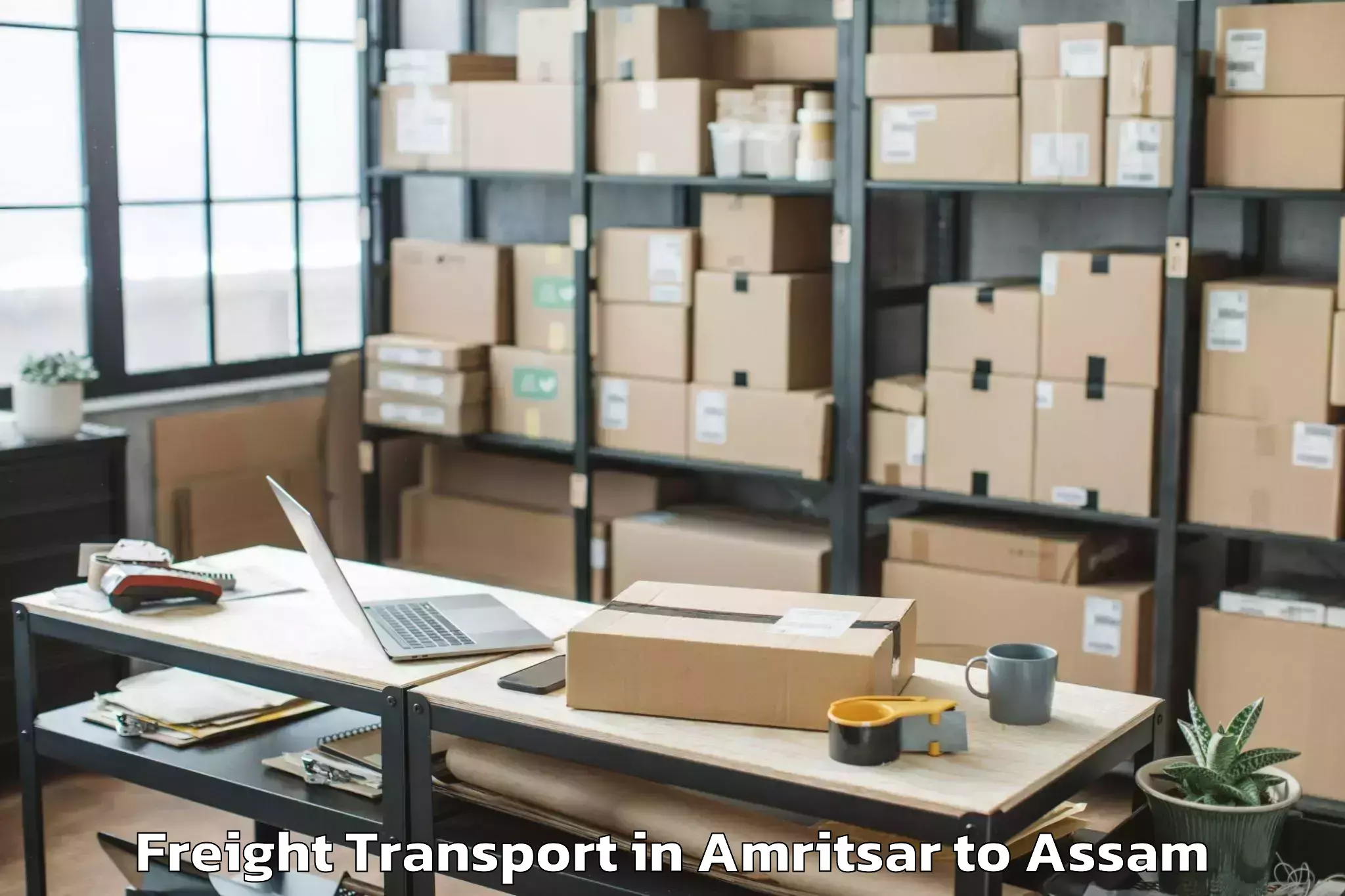 Professional Amritsar to Morigaon Freight Transport